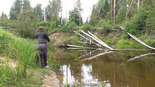 Рыбалка с ночёвками на красивой форельной реке. Жарим рыбу. Живём в лесной избушке. смотреть онлайн