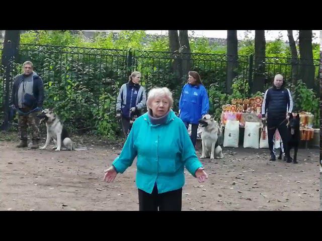 ПАРАД 25 лет клуба смотреть онлайн