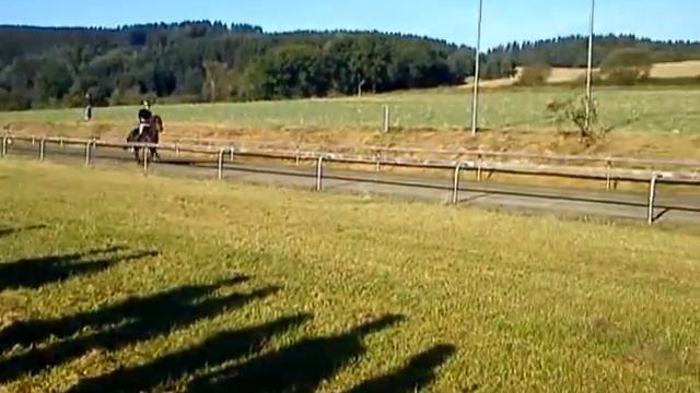 Skrýmir vom Burrishof, Rennpass BIM Wurz смотреть онлайн