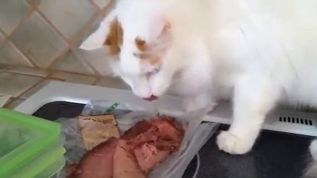 Pooh Bear found the roast beef смотреть онлайн