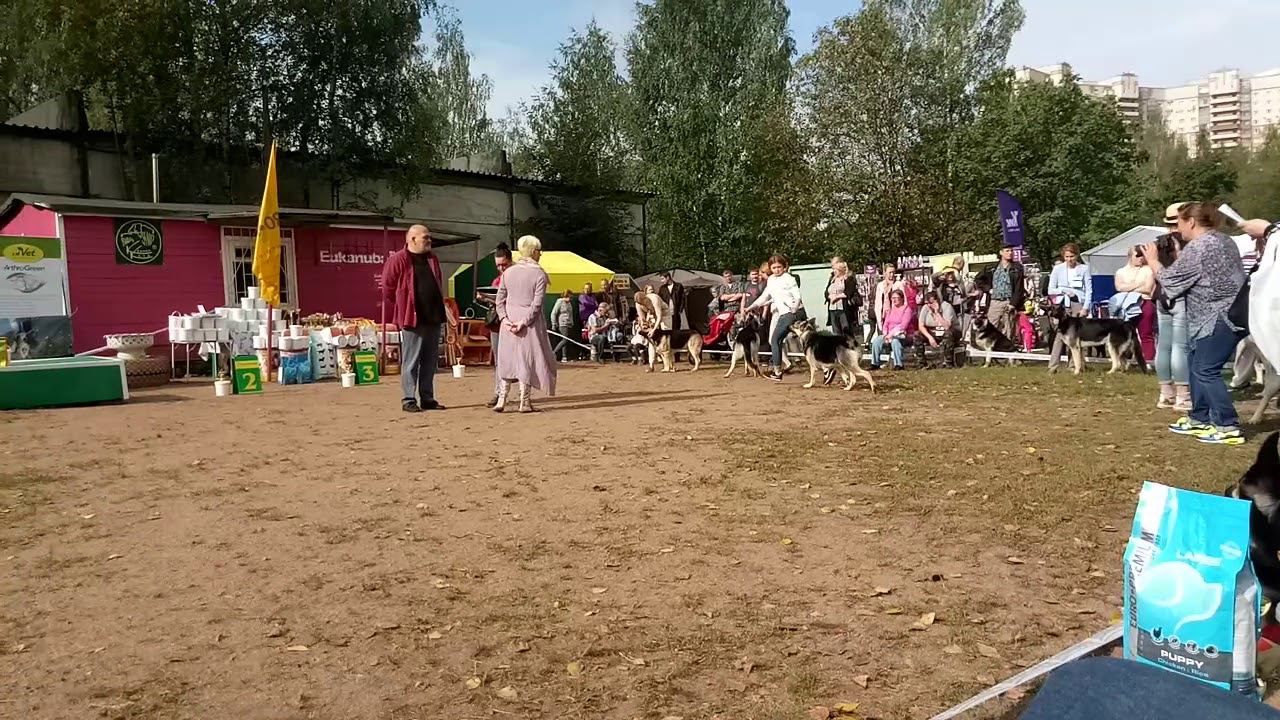 9 сентября 2018 г. смотреть онлайн