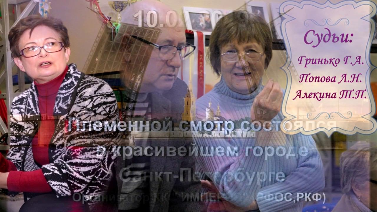 Племенной Смотр 10 02 2019mp4 смотреть онлайн