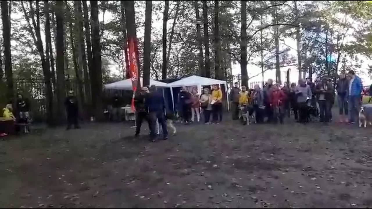 ГАЙ Пробный пуск.ЦВЕО смотреть онлайн