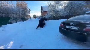 ПРОДА ДЕКСТЕРА!!!ГОПНИКИ ИЗДЕВАЛИСЬ над ТАКСИСТОМ, но ИМ ПРИШЛОСЬ ОТВЕЧАЕТ ПО-ПАЦАНСКИ