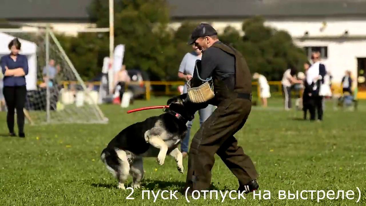 ПРК АРЕКС Слёт с выстрела смотреть онлайн