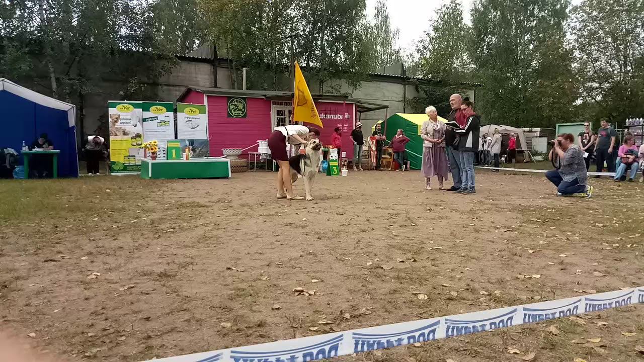 10 сентября 2018 г. смотреть онлайн