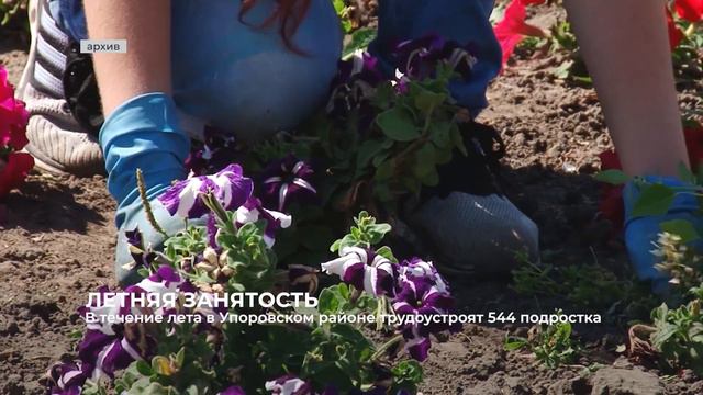 В течении лета в Упоровском районе трудоустроят 544 подростка смотреть онлайн
