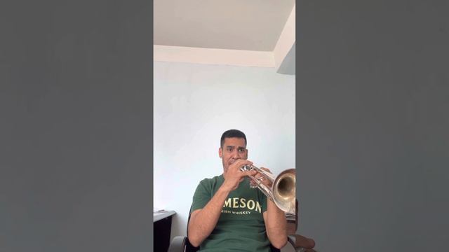 Wilhelm Wurm: 45 EASY STUDIES FOR TRUMPET, No.41 смотреть онлайн