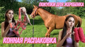 |КОННАЯ РАСПАКОВКА| |ПОКУПКИ ДЛЯ ЖЕРЕБЕНКА| подготовка к покупке лошади