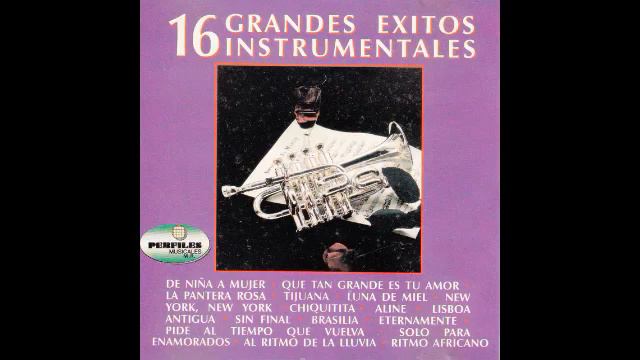 16 GRANDES EXITOS INSTRUMENTALES La pantera rosa смотреть онлайн