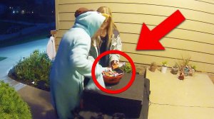 Воры Сладостей Против Поддельной Миски Сладостей