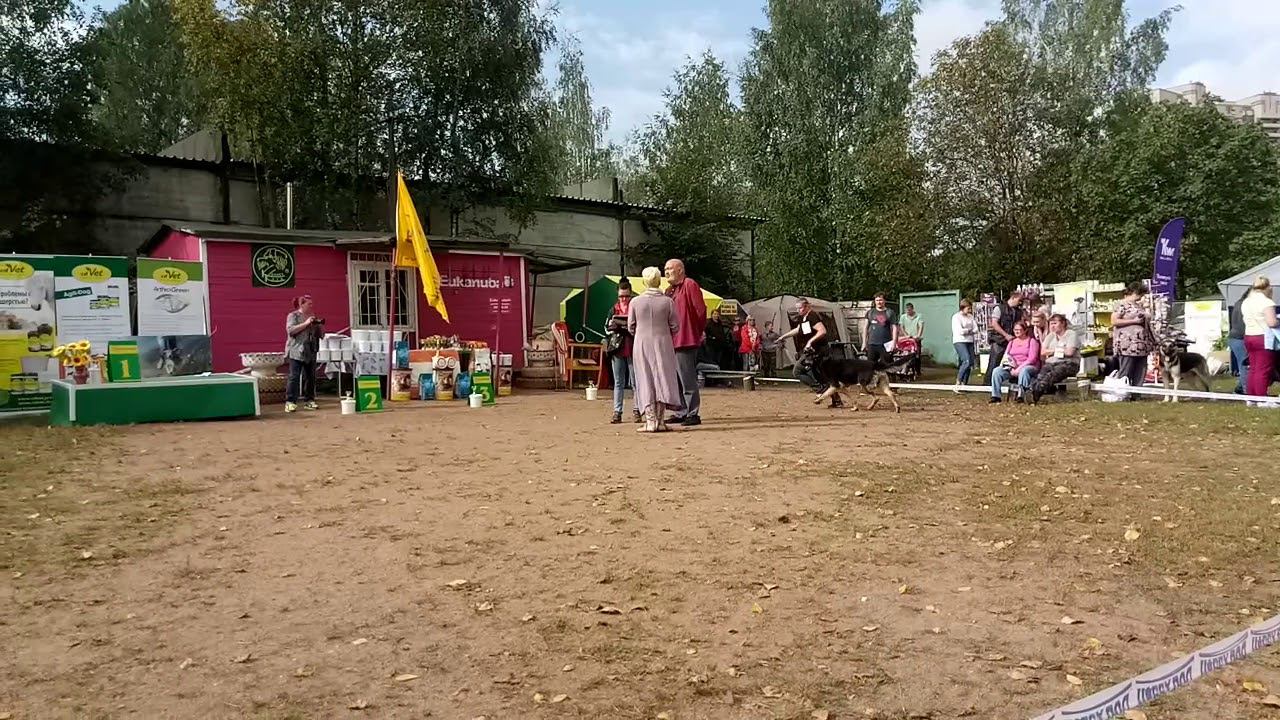 Карс от Лугары смотреть онлайн