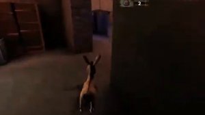 Все плакаты с розысками в игре Шрек 2