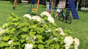 Курорт «Лихвинские воды» в Тульской области
