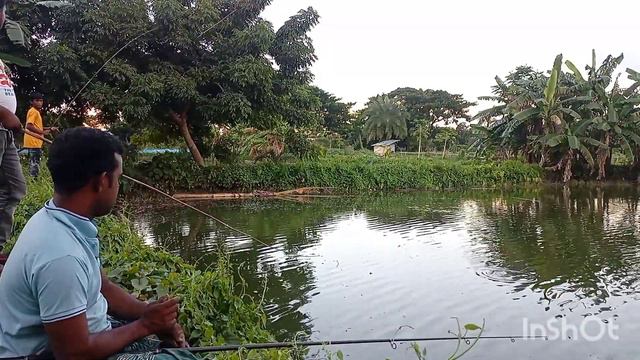 foli fish catching_foli fishing ফলুই মাছ ধরার ভিডিও।ফলোই মাছ। смотреть онлайн