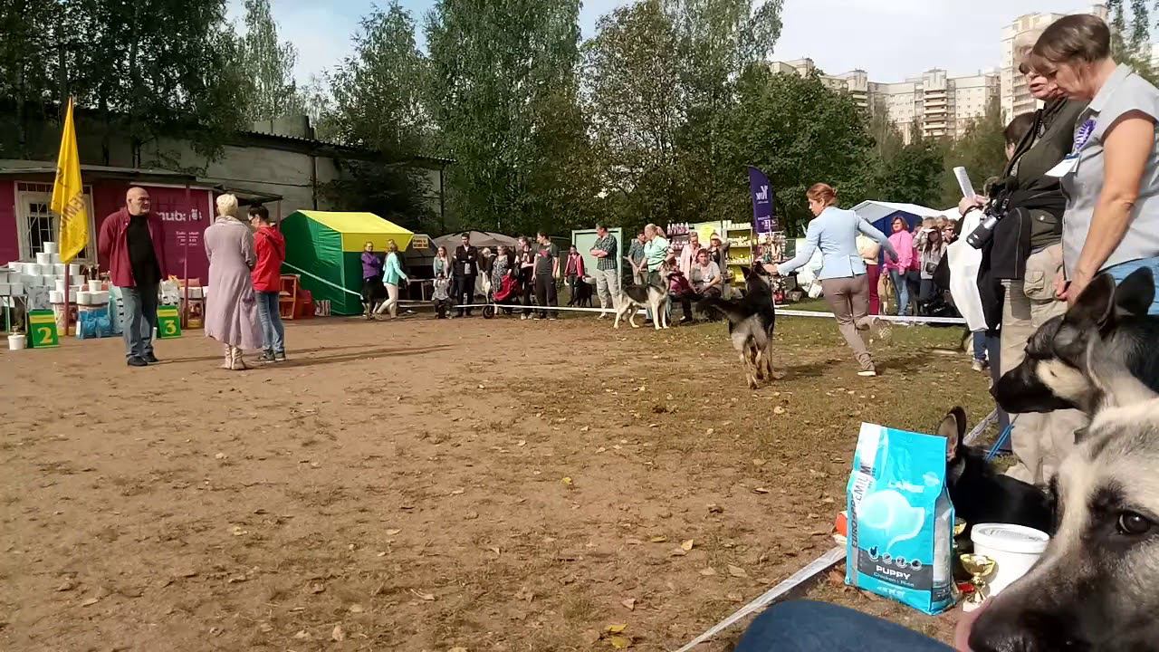 ЧК 2018 смотреть онлайн