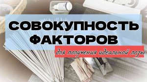 Моя совокупность факторов для получения идеальной бумажной лозы