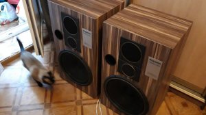 Корвет 150ас-001