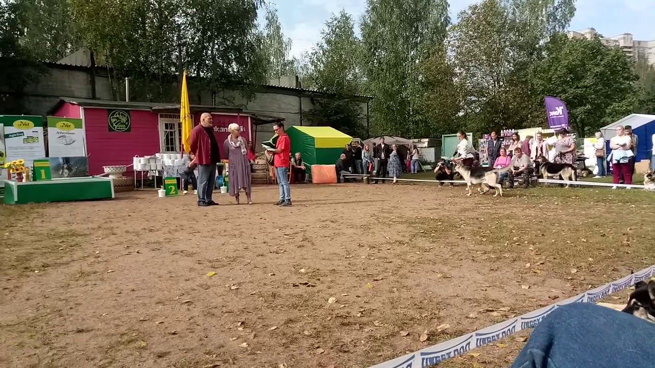 Фиелисс Лейден смотреть онлайн