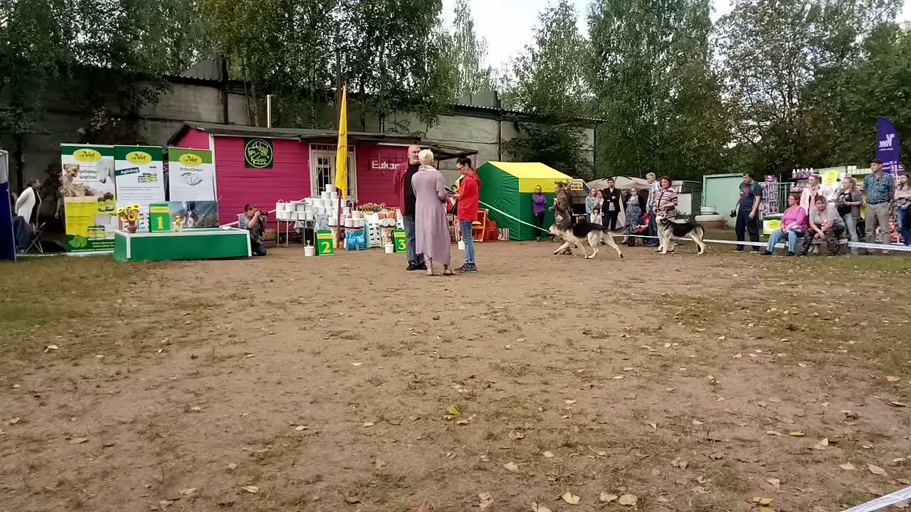 9 сентября 2018 г. смотреть онлайн
