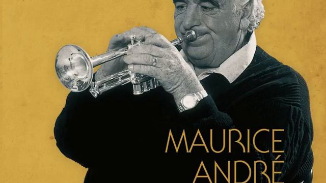 Trumpet Concerto in D major : I Allegro moderato смотреть онлайн