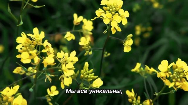 "Делись опытом". 4 октября. Мужество меняться. Ежедневник для созависимых. смотреть онлайн