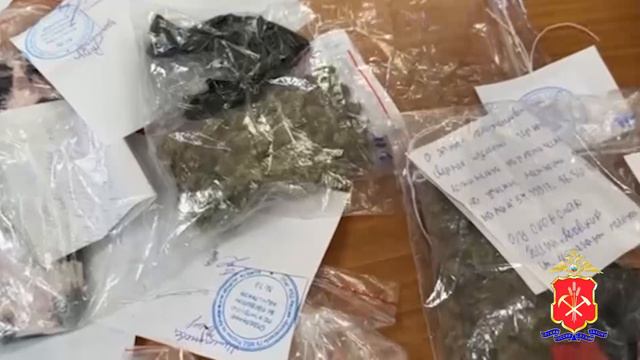 В Белове полицейские задержали студенток, подозреваемых в сбыте наркотических средств смотреть онлайн