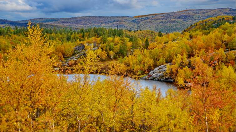 Мурманск/Четыре сезона смотреть онлайн