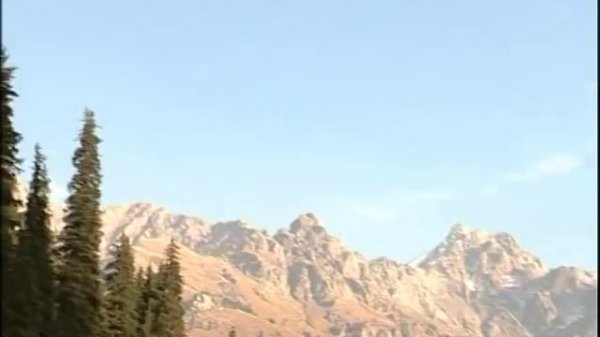 Моисей Назарчук: Всё что вижу, все что слышу