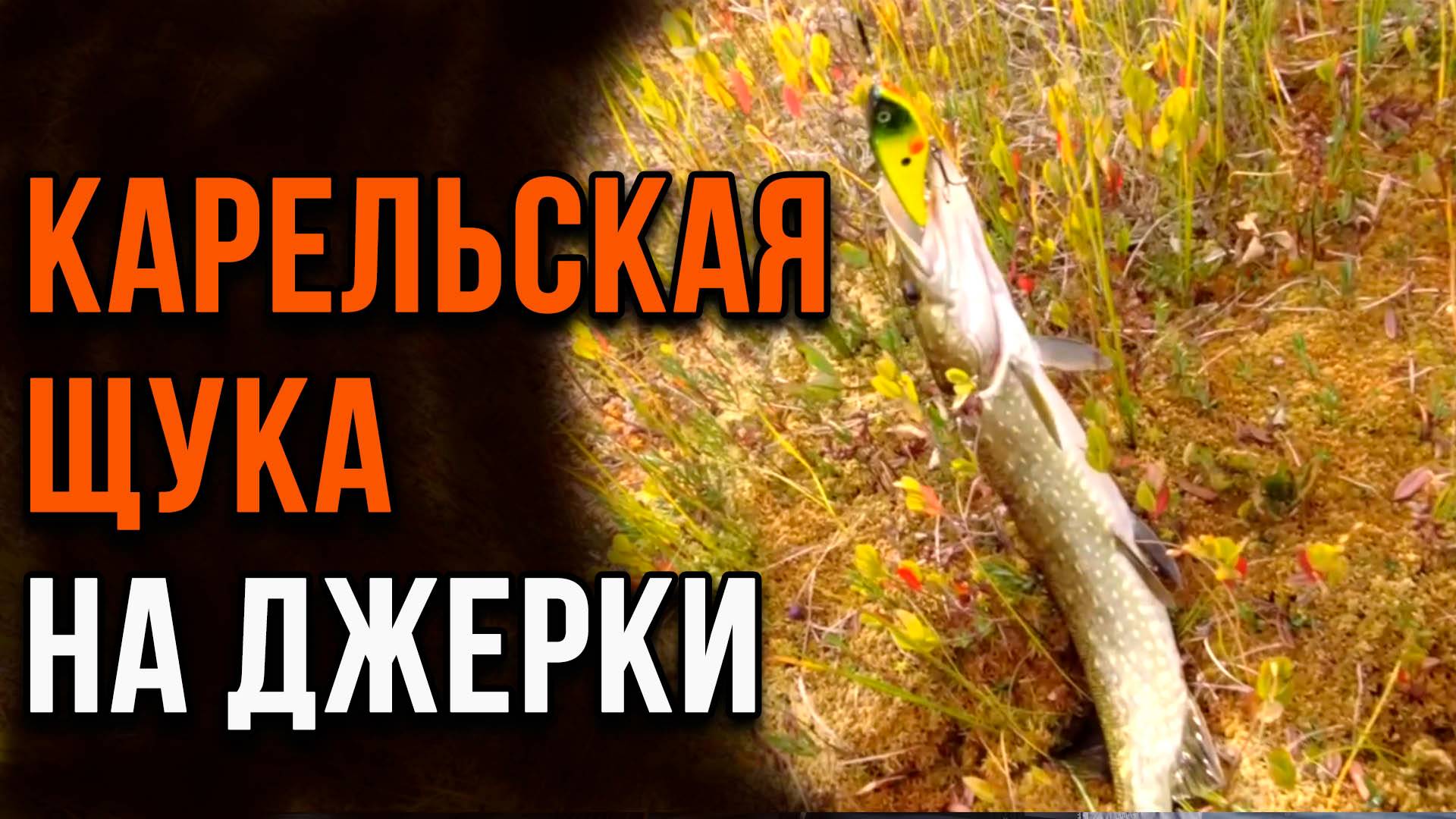 Карельская щука. Ловим на джерки. смотреть онлайн
