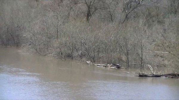 мосты аркадака