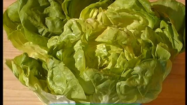 Галилео. Оливье  Olivier (Russian Salad)