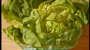 Галилео. Оливье  Olivier (Russian Salad)