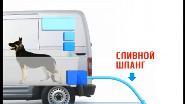 Галилео. Собачий мобильный салон  Mobile Dog Grooming