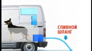 Галилео. Собачий мобильный салон  Mobile dog grooming