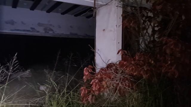 НОЧЬ В ЖУТКОЙ ЗАБРОШКЕ В ЛЕСУ. смотреть онлайн