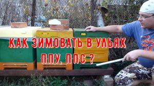 Как зимовать в ульях ППУ , ППС ?