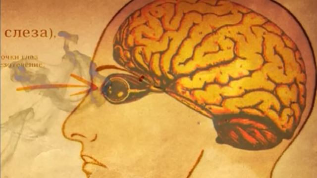 Галилео. Слёзы смотреть онлайн