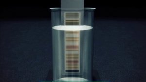 Галилео. Криминалистика 7. Документы и материалы