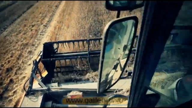 Галилео. Урожай пшеницы смотреть онлайн