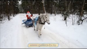 Галилео. Дед Мороз в рекламе