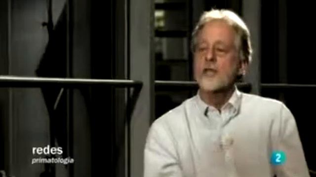 Entrevista de Eduard Punset con Michael Tomasello, primatólogo.avi смотреть онлайн