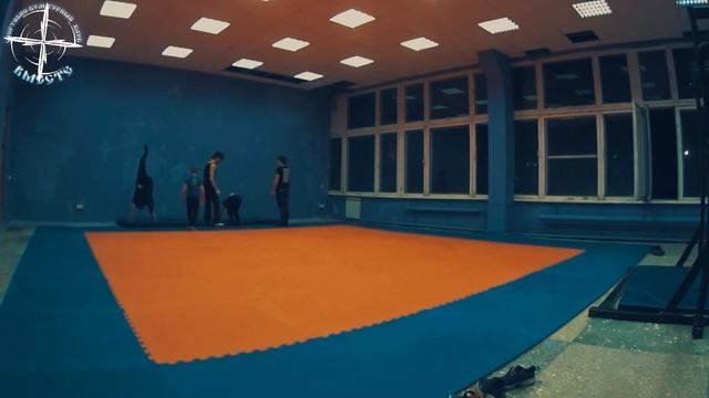 4-ая НаРодная ГимнАсТиКа в Клубе Воздушно-Силовой Атлетики. СКК "Вместе" смотреть онлайн