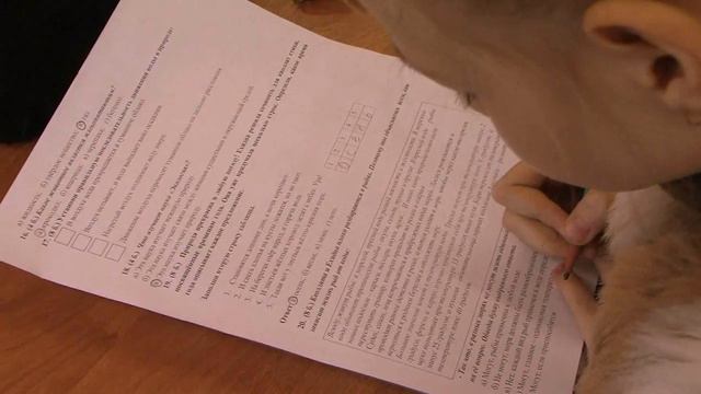 Олимпиада младших школьников смотреть онлайн
