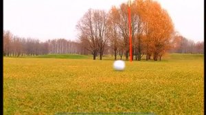 Галилео. Гольф ⛳ Golf