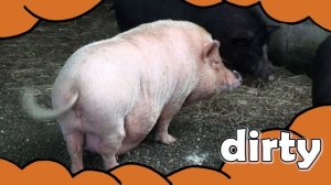 Big, Big, Big  Adjectives Song for Kids