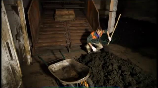 Галилео. Черви