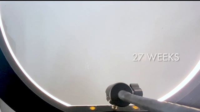 Pregnancy Transformation