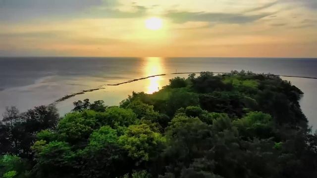 Hawaiian Reggae 2024 - Always Remember Us смотреть онлайн