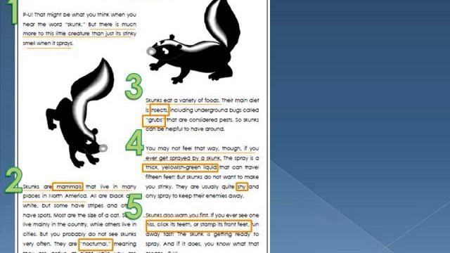 Paragraph Attack : Reading Strategy смотреть онлайн